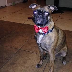 Meet your Posher, Andrew